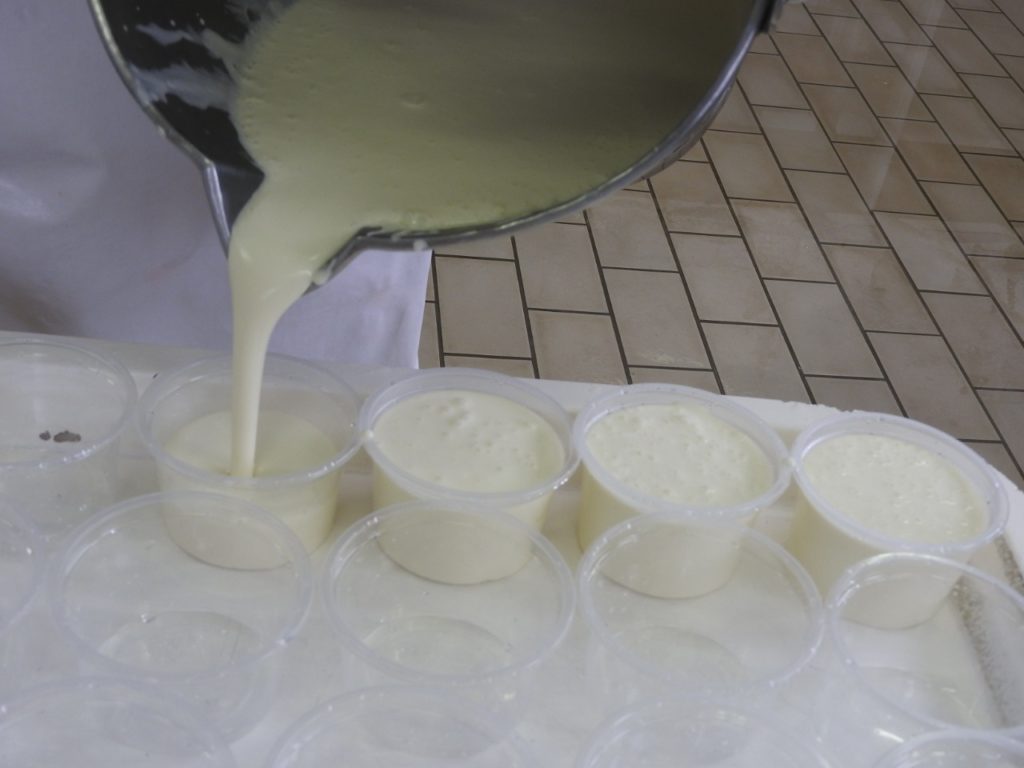 EPAMIG ILCT realiza pesquisas para a criação de requeijão funcional