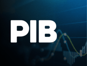 PIB Brasileiro
