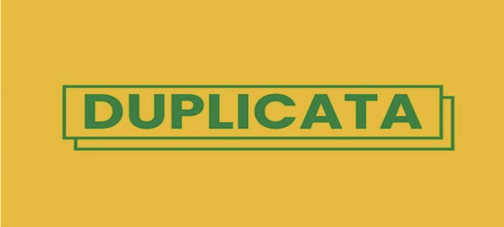 O que são duplicatas e como elas podem transformar o mercado de crédito