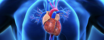 Cirurgia cardíaca sem abrir o peito avança e redefine o padrão de tratamento