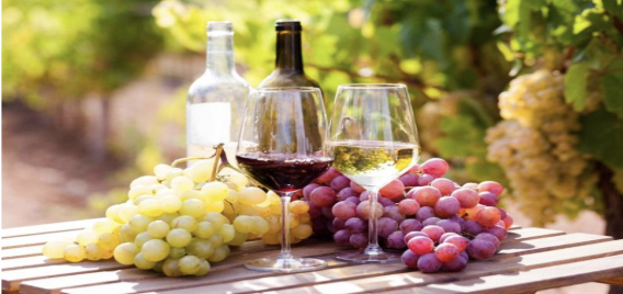 Vinhos de inverno e as uvas